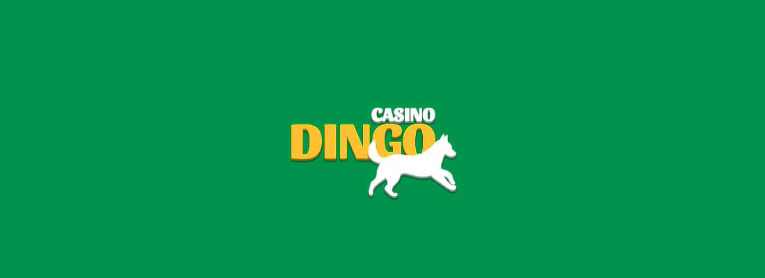 Casino Dingo