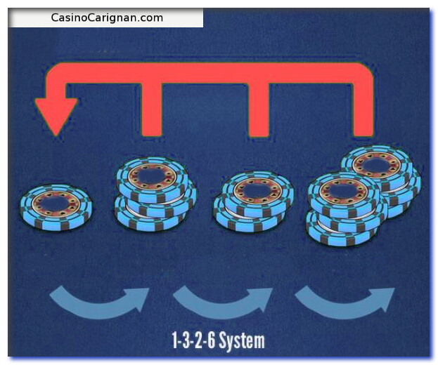 1-3-2-6 System